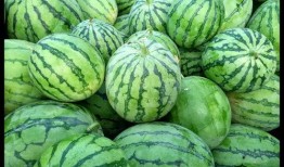 吃瓜视频大全高清 52爆料吃瓜网,吃瓜视频大全高清52爆料，吃瓜网独家爆料大揭秘